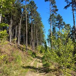 Wir konzentrieren uns daher wieder auf den Weg..