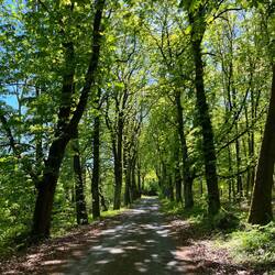 Gut ausgeruht verlassen wir den Tafelberg und..