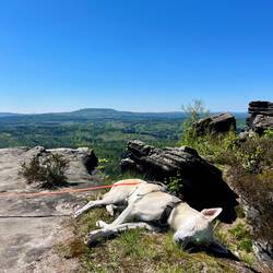 ..ebenso ein wohlverdientes Schläfchen auf uns 😴
