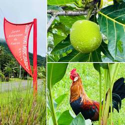 Stop im botanischen Garten