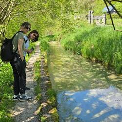 Der Einstieg zur Klamm