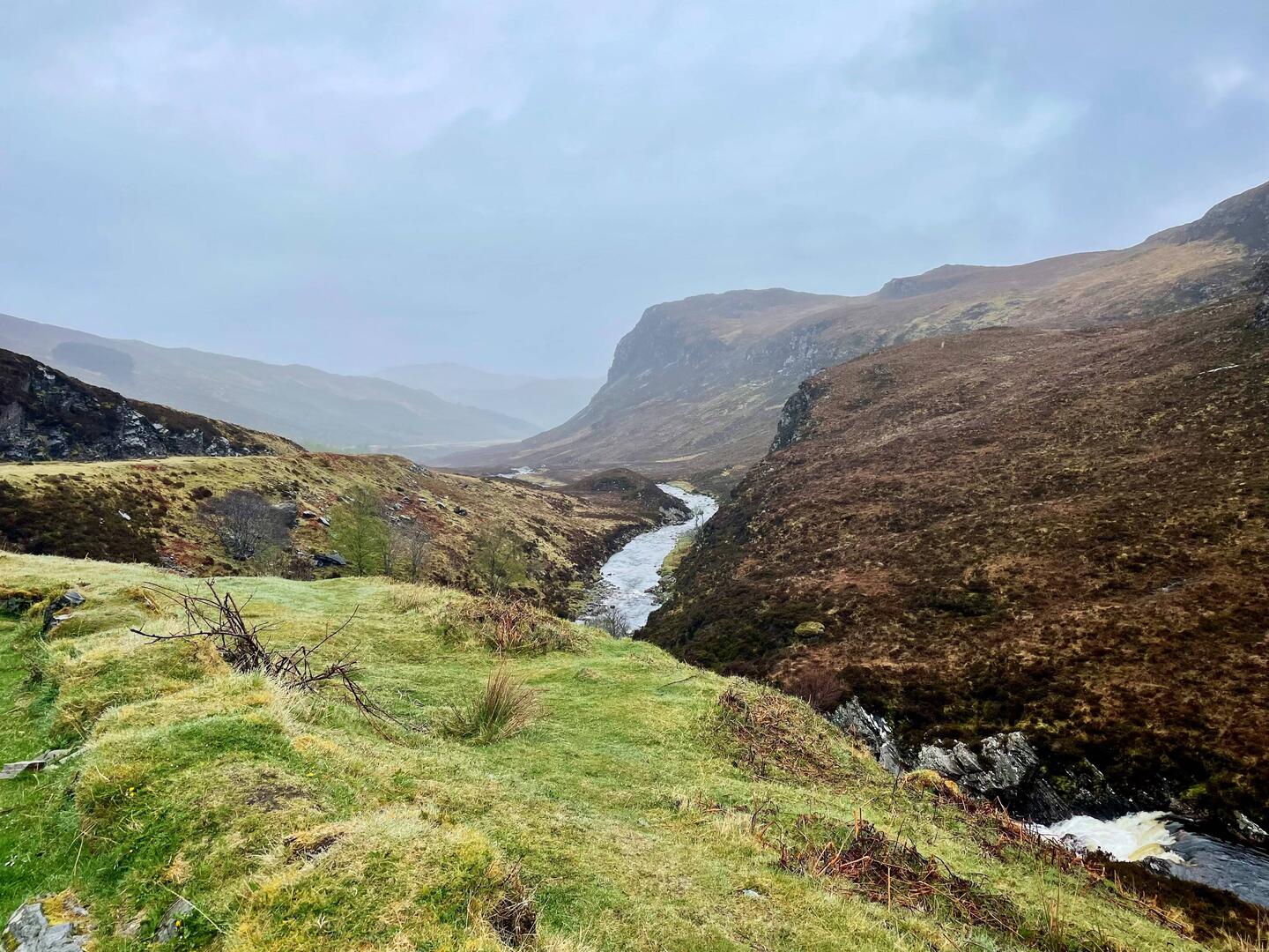 Meandering through the green and grey