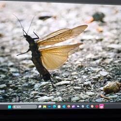 Fotos vom Tag sortieren