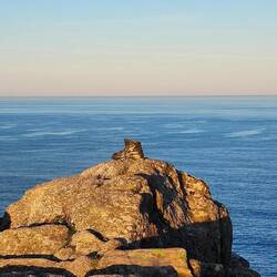 The End of the World