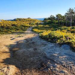 What is this crazy alternate route