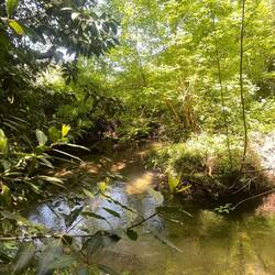 La rivière à l'arrivée