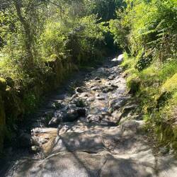 Le chemin dans le cours d'un ruisseau