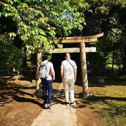 Tori Gate im Tokyo Bay Garden