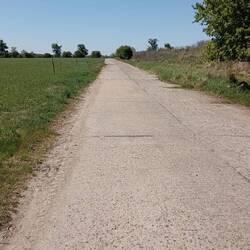 Ostalgischer Roadwalk 🤣