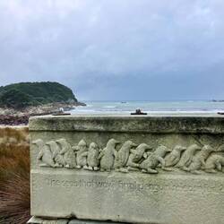 The sea is that way 🐧🐧