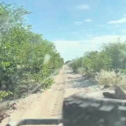 ...live from the dusty side of life..