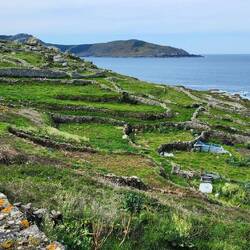 Some of these plots are vegetable gardens