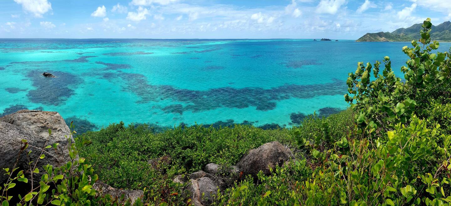 Caribbean blue, like in my dreams.