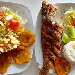 Typical Caribbean lunch: lobster in coconut sauce and grilled red snapper.