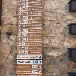 Die Qual der Wahl ...