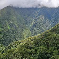 Aussicht auf die Coca Plantagen