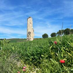 A little before the ruins. Different ruins