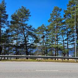 Neben der Straße das Meer