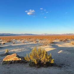 Im dalej w pustynię tym więcej piachu