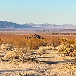 Pustynia jest piękna