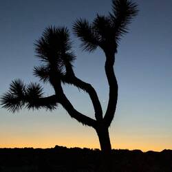 A tu doczekaliśmy nocy