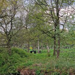 View from the boat to Hanley Cemetery