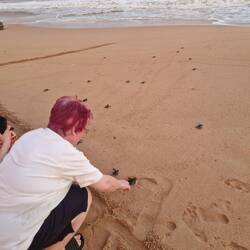 Back to the sea