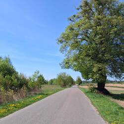 Znowu asfalt