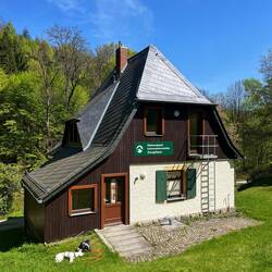 In der Informationsstelle mache ich mich schlau, während Johnny sich ganz anderen Gedanken hingibt.