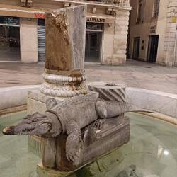 Il coccodrillo, simbolo di Nîmes