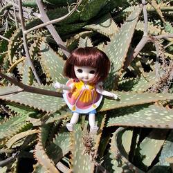 Maya, aïe aïe aïe !!!