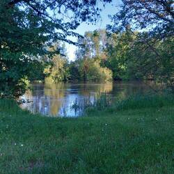 Coin pique nique du soir.