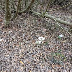 Öffentliche Toiletten....