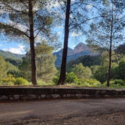 Aussicht beim Abendessen
