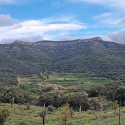 Wie Monument Valley in grün!