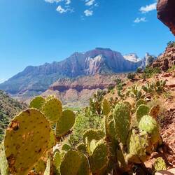 Auf dem Watchman's Trail