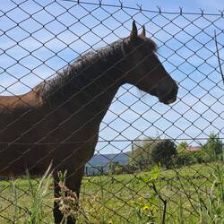 This guy came over to say hello