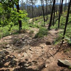 From the top of the beginning of the boulders section