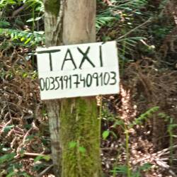 Should have realized this was not a good sign. The path was getting steeper