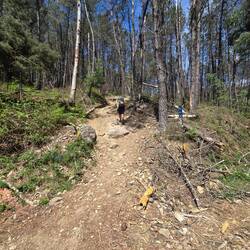 These pictures can't do the hill justice