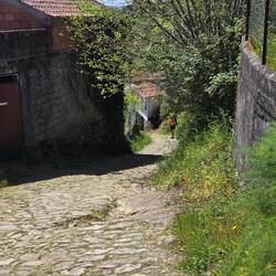 Trying to get perspective on the steepness. Zoom in