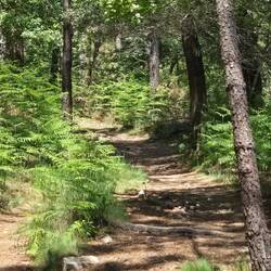 Getting steeper still