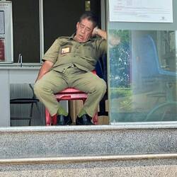 sieste après déjeuner