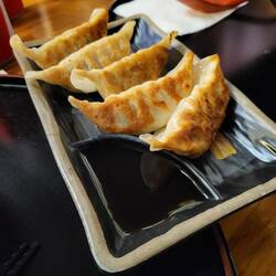 Lecker Gyōza 🥟