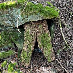 Was versteckt sich hier?