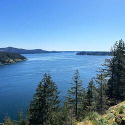 Aussicht auf die Bucht