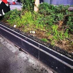 Shinjuku ist ein anderes Tokyo