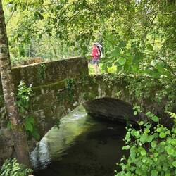 This was a pretty crossing