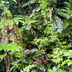 Wer findet hier das Verkehrsschild?