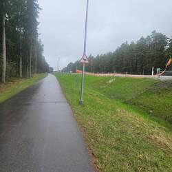 Auf kurzer Strecke der Autobahn ist der Wildschutzzaun offen und Elche "dürfen" wechseln